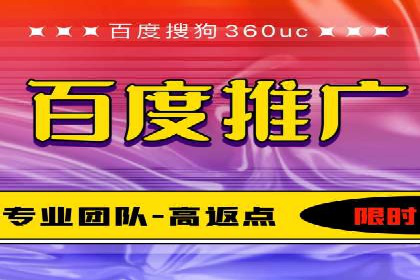 百度竞价推广运营策略：成功案例解析