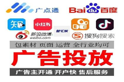 大型SEM服务公司案例分析